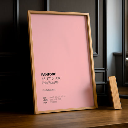 Cadre Photo Pantone - Pale Rosette