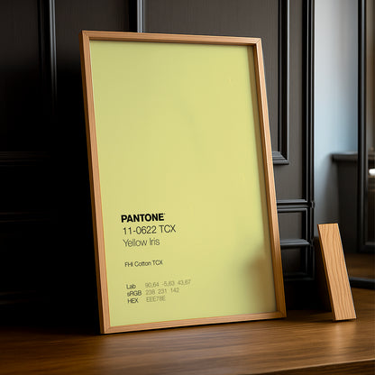Cadre Photo Pantone - Yellow Iris