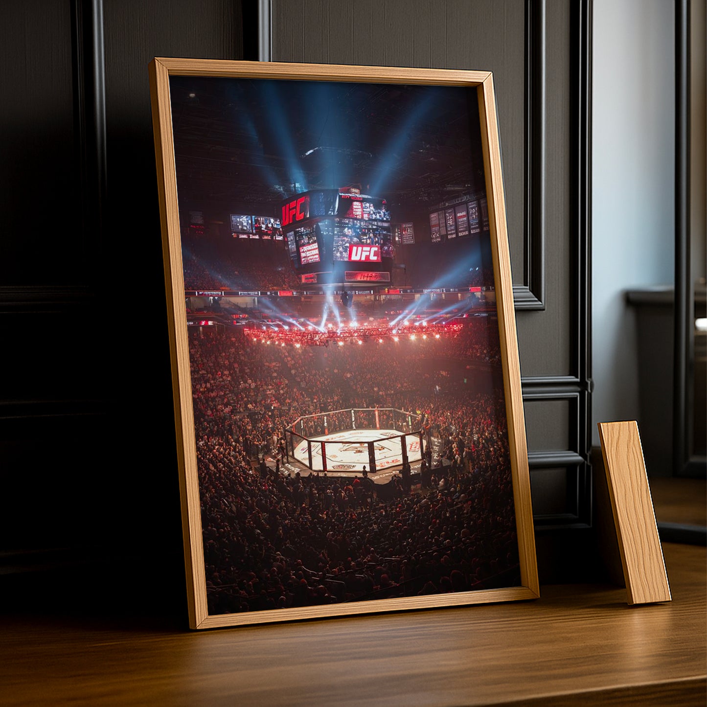 Cadre photo UFC - Cage