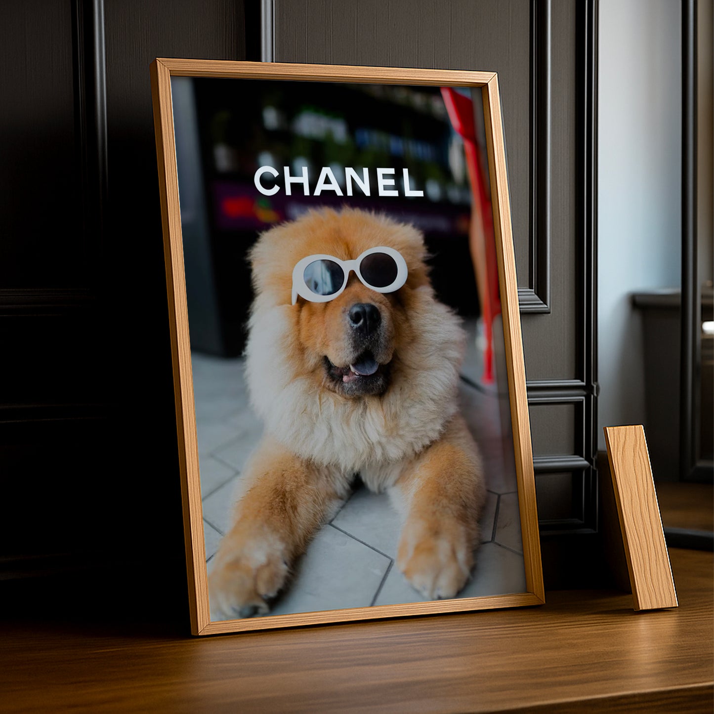 Poster Photo Chanel - Chien Cool