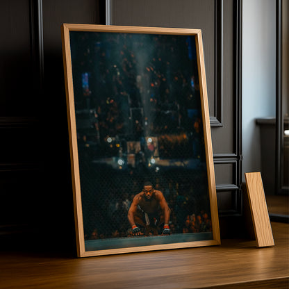 Cadre photo UFC - Jon Bones Jones