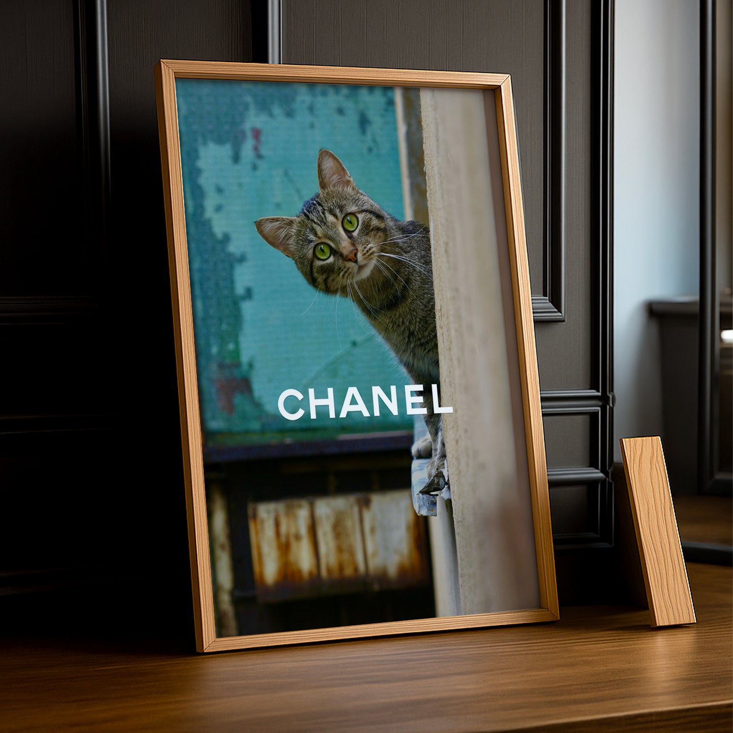 Poster Photo Chanel - Little Cat