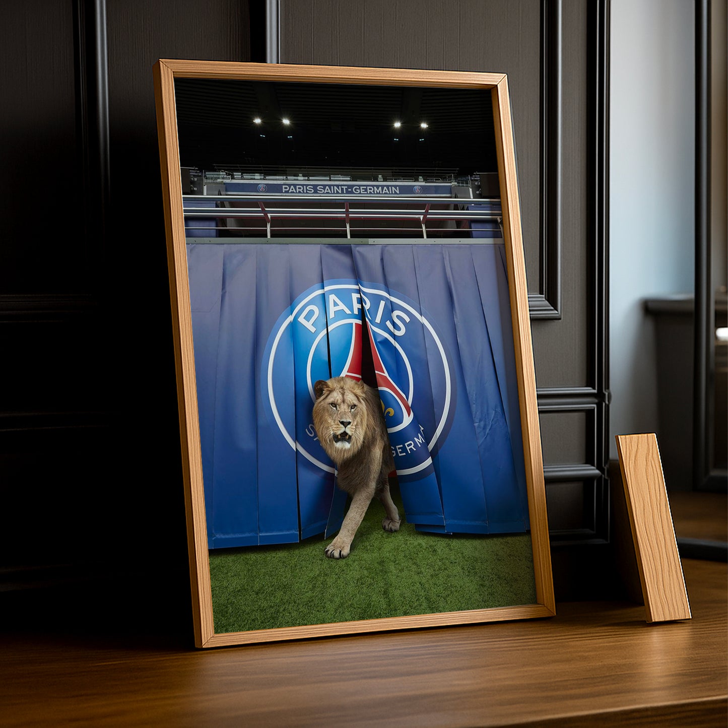 Cadre Photo Paris Saint-Germain - Lion