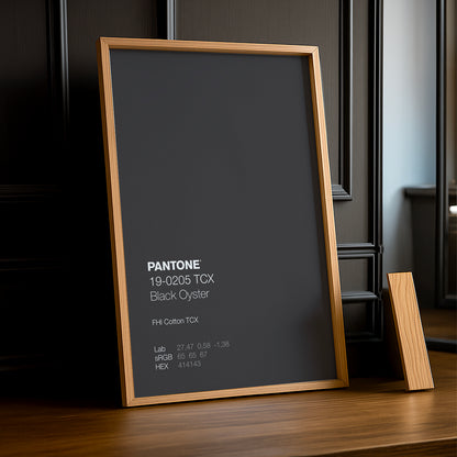 Cadre Photo Pantone - Black Oyster