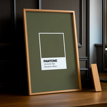 Cadre Photo Pantone Étiquette - Terrarium Moss