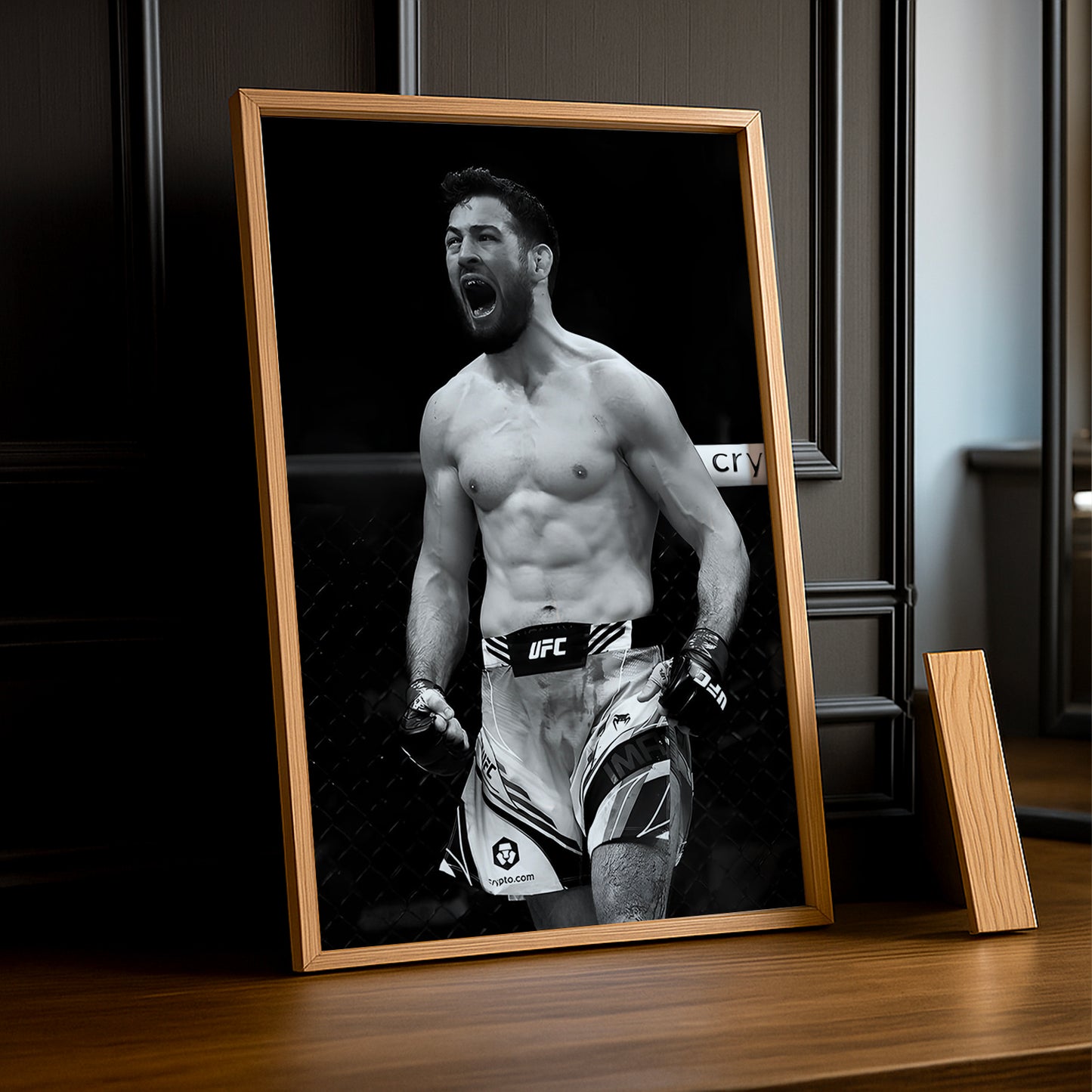 Cadre photo UFC - Nassourdine Imavov