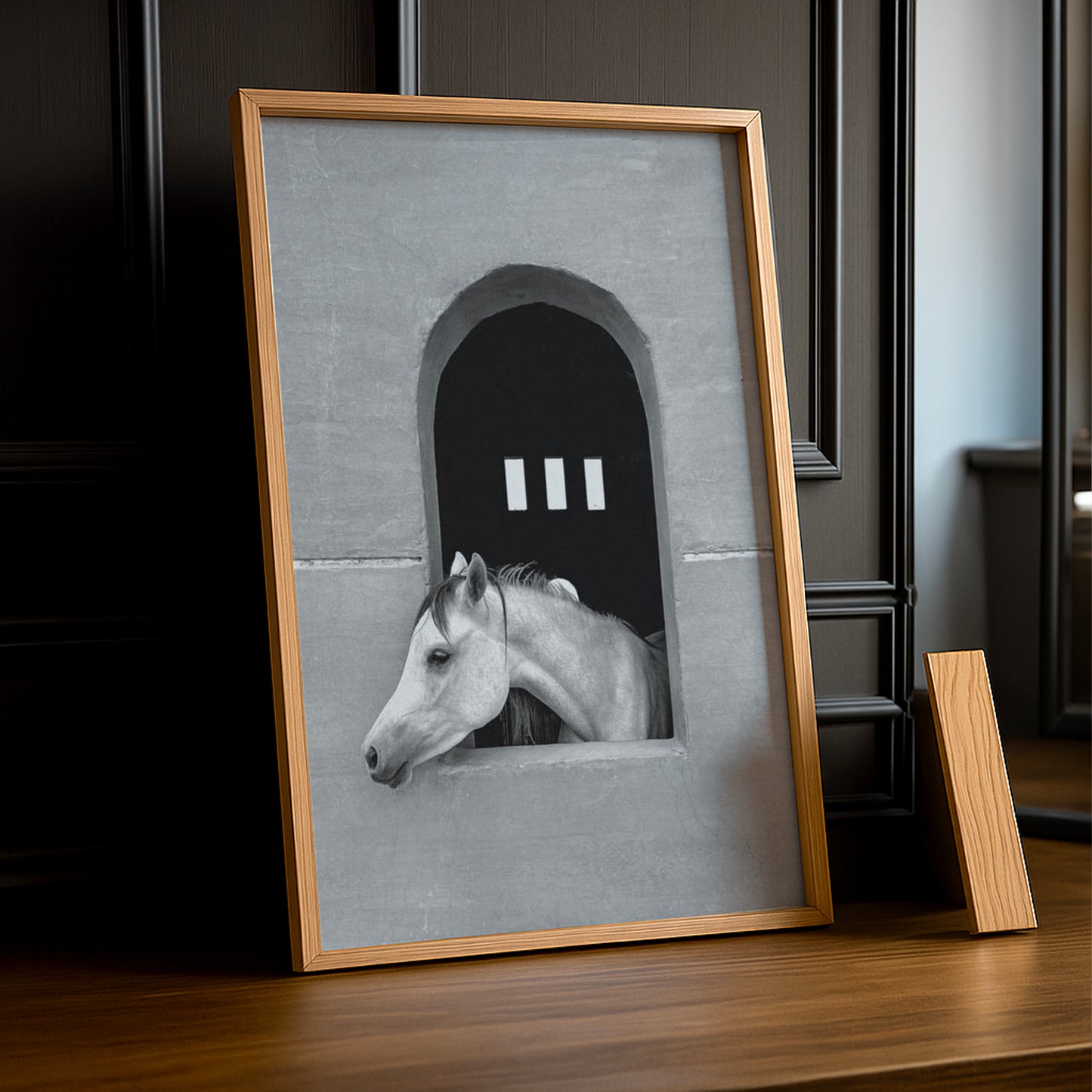 Cadre photo Équitation - White Horse