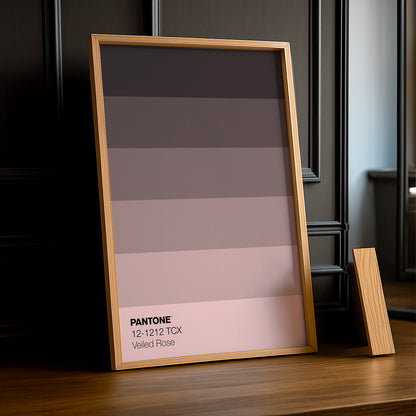 Cadre Photo Pantone Dégradé - Veiled Rose