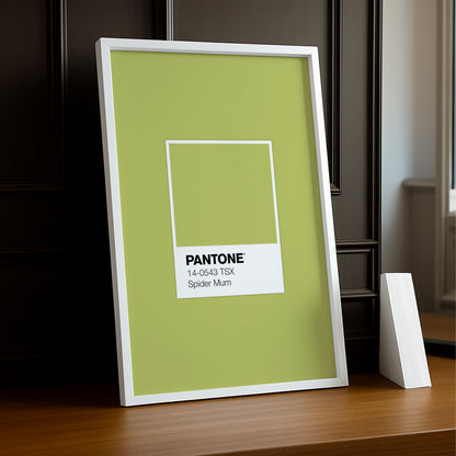 Cadre Photo Pantone Étiquette - Spider Mum