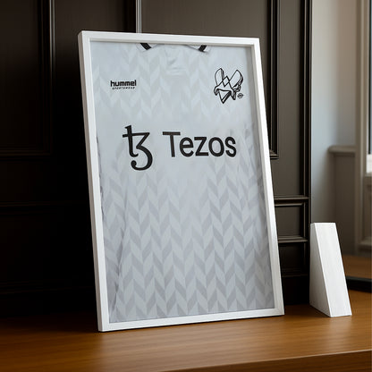 Cadre photo Team Vitality maillot blanc