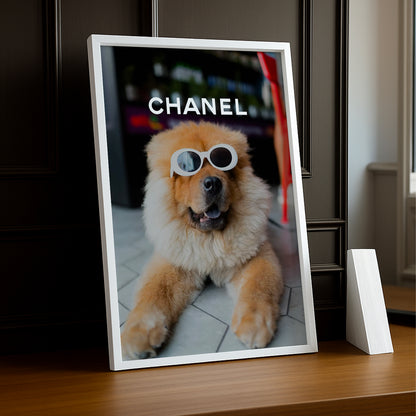 Poster Photo Chanel - Chien Cool