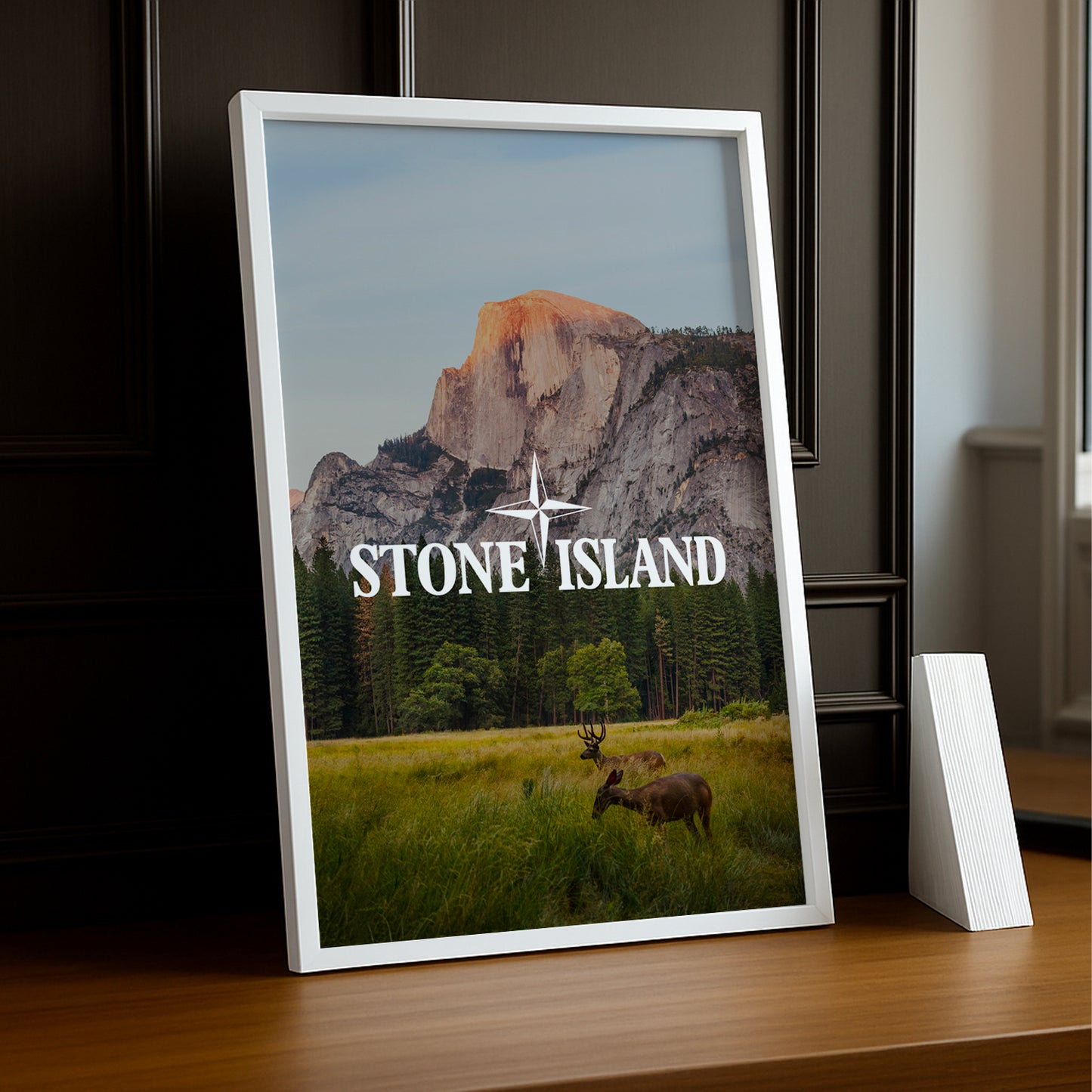 Poster Stone Island - Prairie