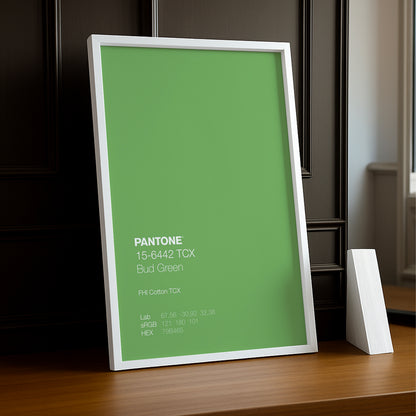 Cadre Photo Pantone - Bud Green