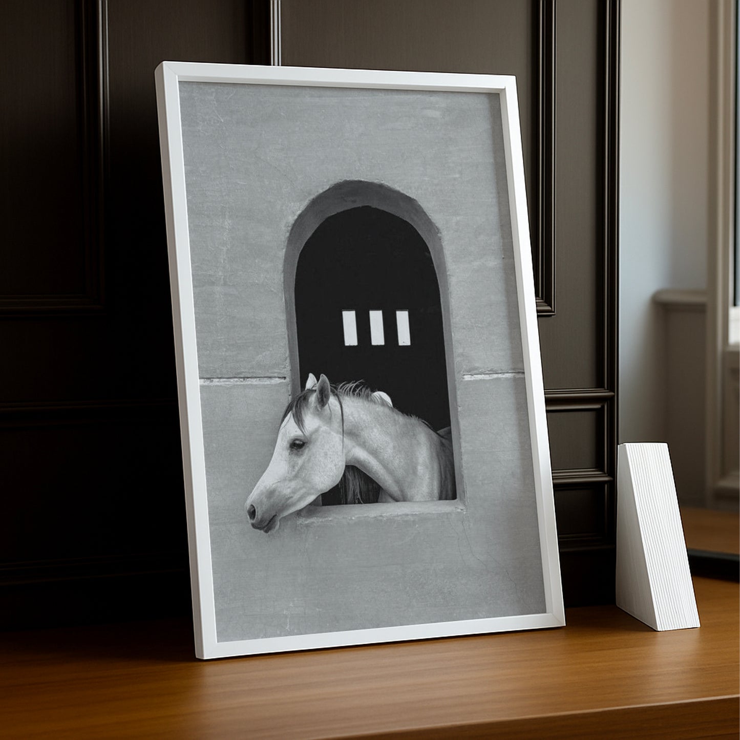 Cadre photo Équitation - White Horse