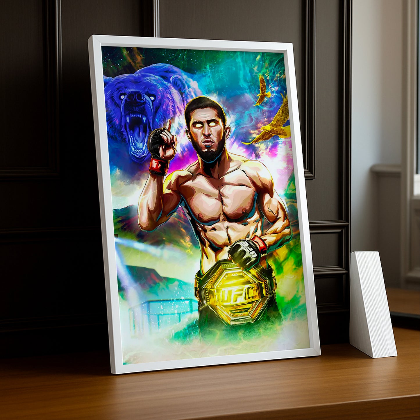 Cadre photo UFC - Islam Makhachev