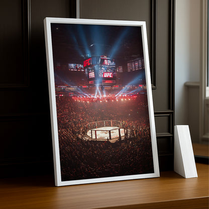 Cadre photo UFC - Cage