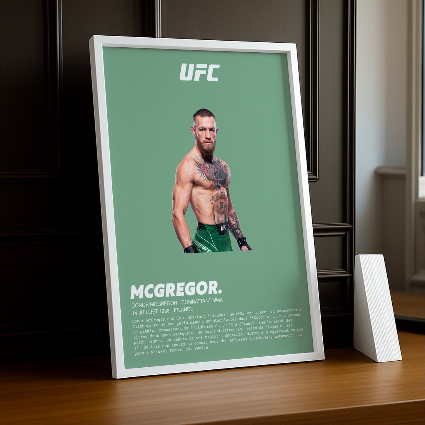 Cadre photo Conor McGregor UFC