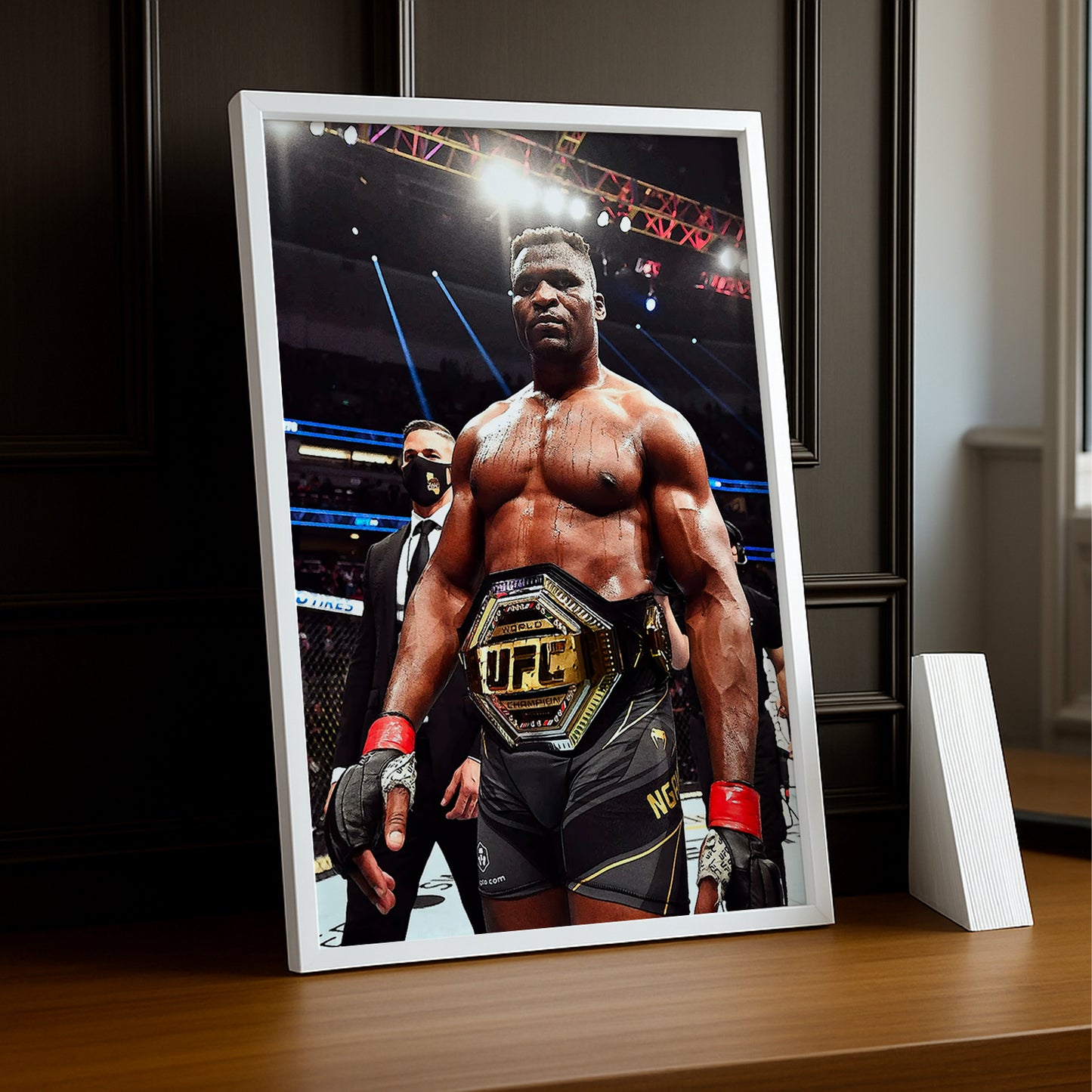 Cadre photo UFC - Francis Ngannou