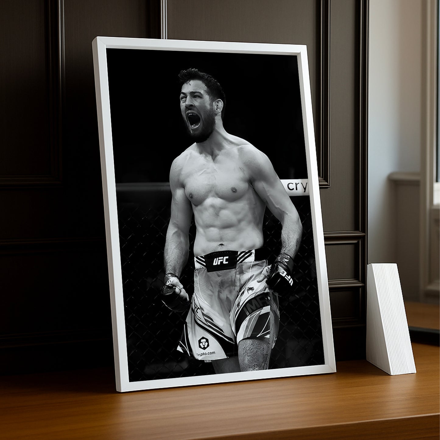 Cadre photo UFC - Nassourdine Imavov