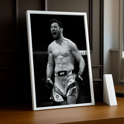 Cadre photo UFC - Nassourdine Imavov