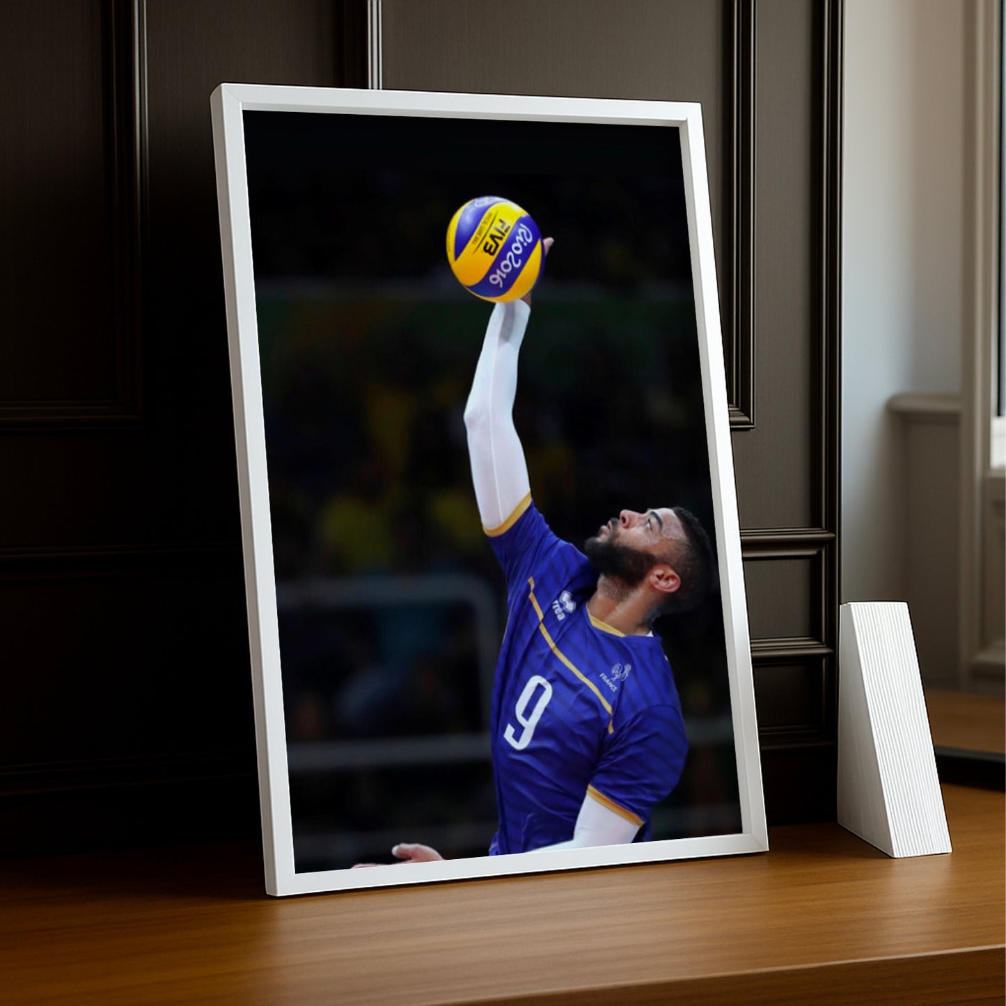 Cadre photo Volley-Ball - Earvin Ngapeth