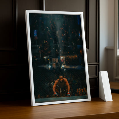 Cadre photo UFC - Jon Bones Jones