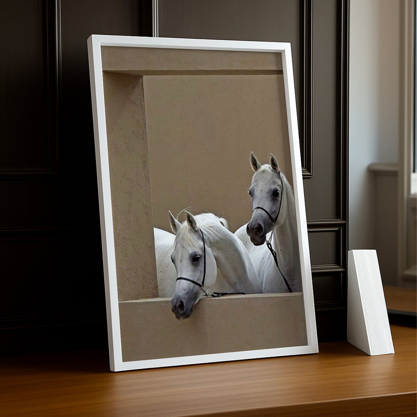 Cadre photo Équitation - Chevaux Blanc