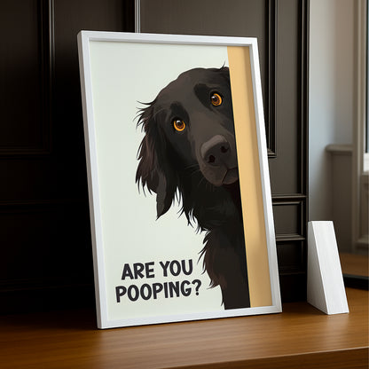 Chien Are You Pooping ? - Poster