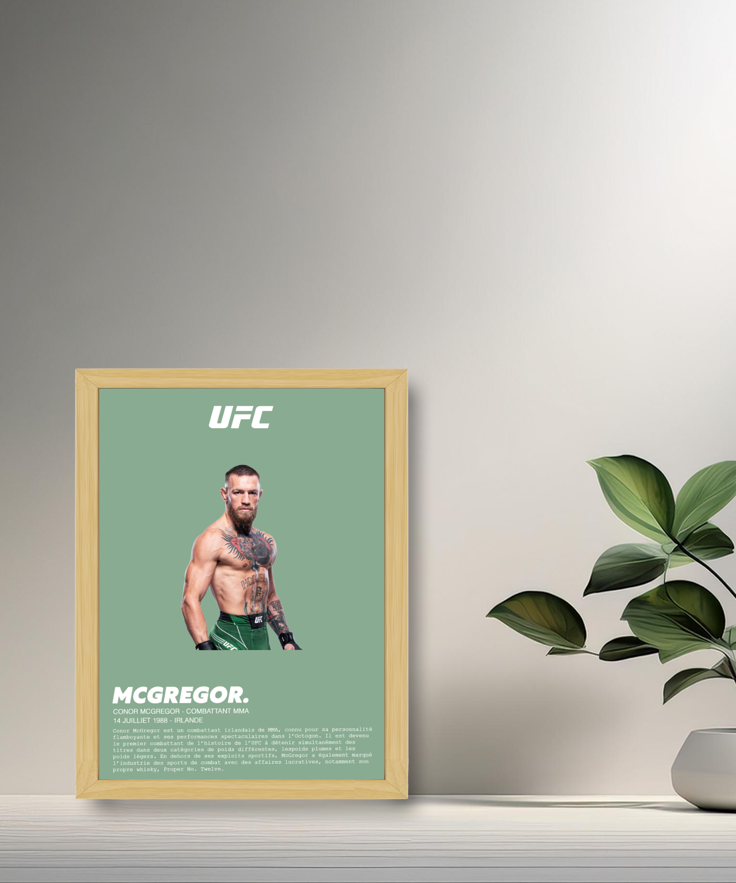 Cadre photo Conor McGregor UFC