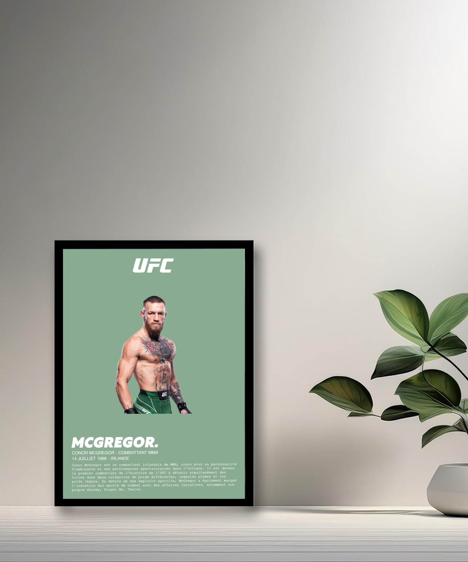 Cadre photo Conor McGregor UFC