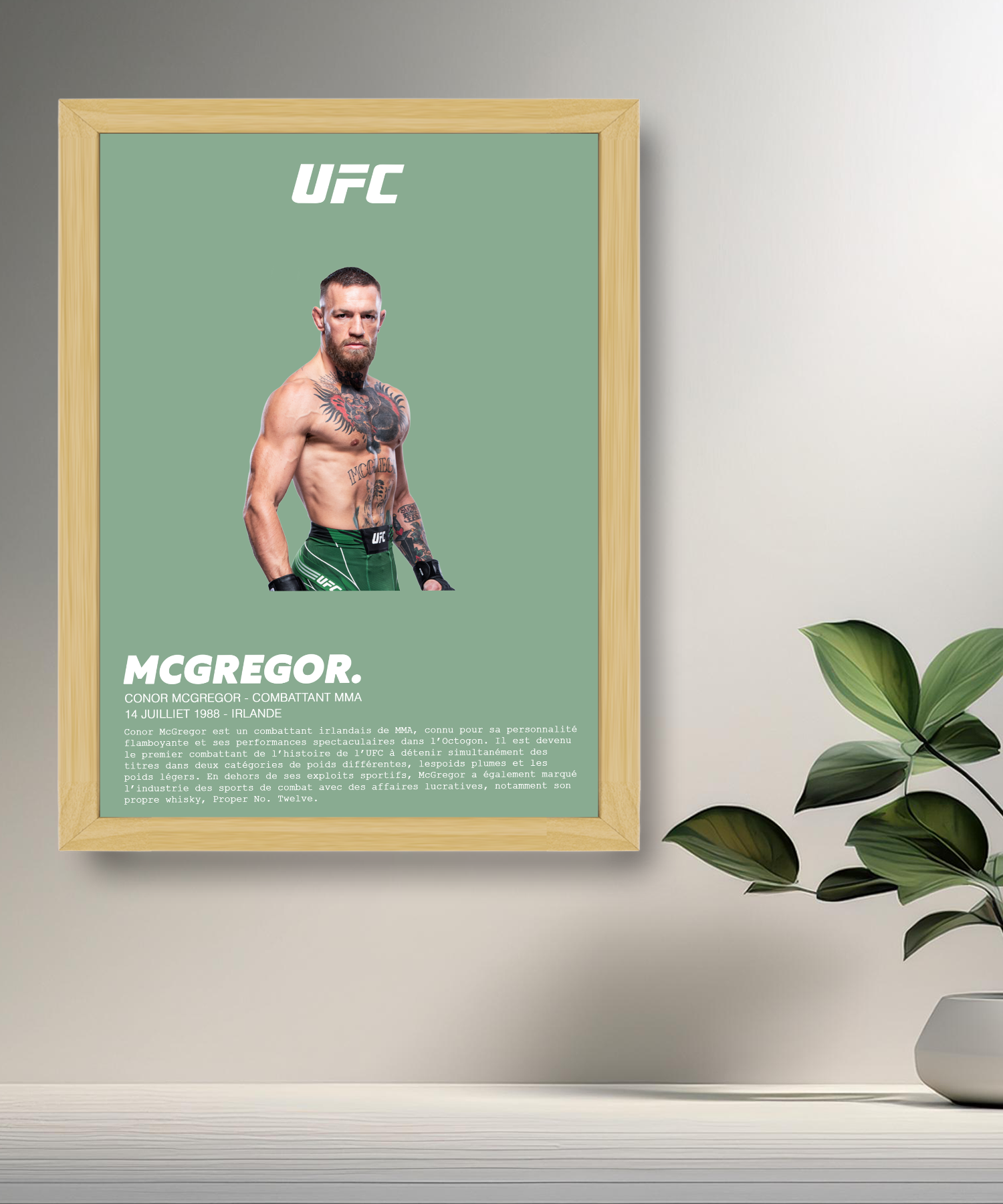 Cadre photo Conor McGregor UFC