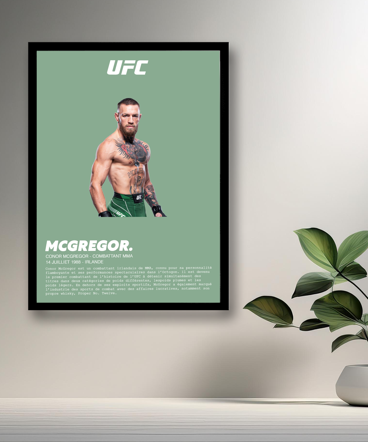 Cadre photo Conor McGregor UFC