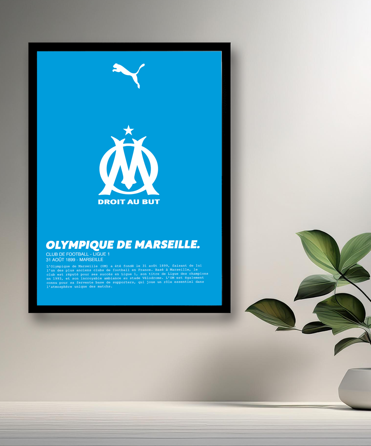 Cadre photo Olympique de Marseille logo