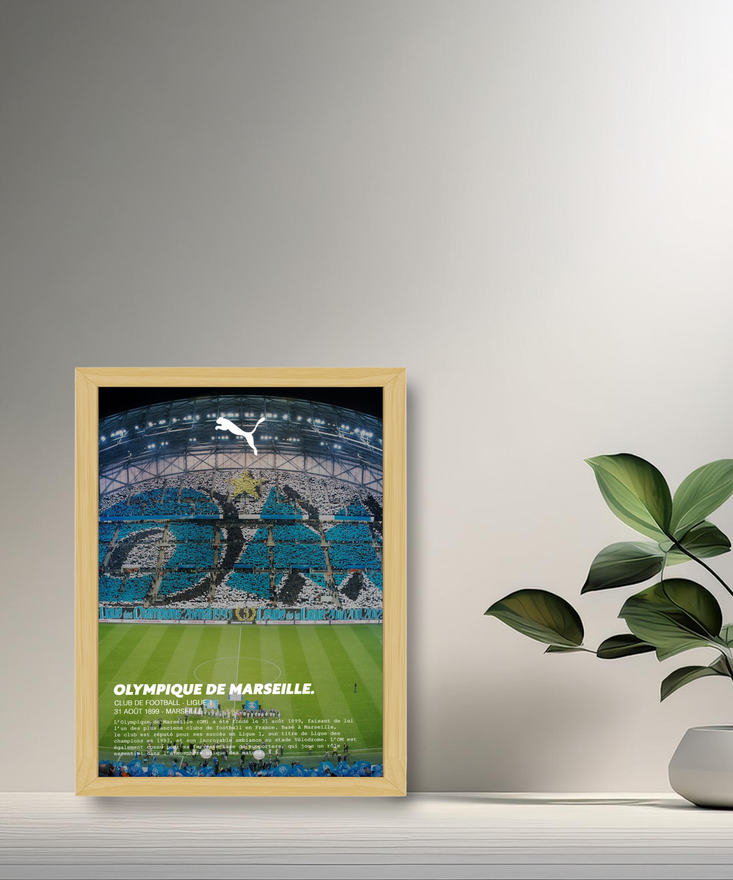 Cadre photo Olympique de Marseille Stade