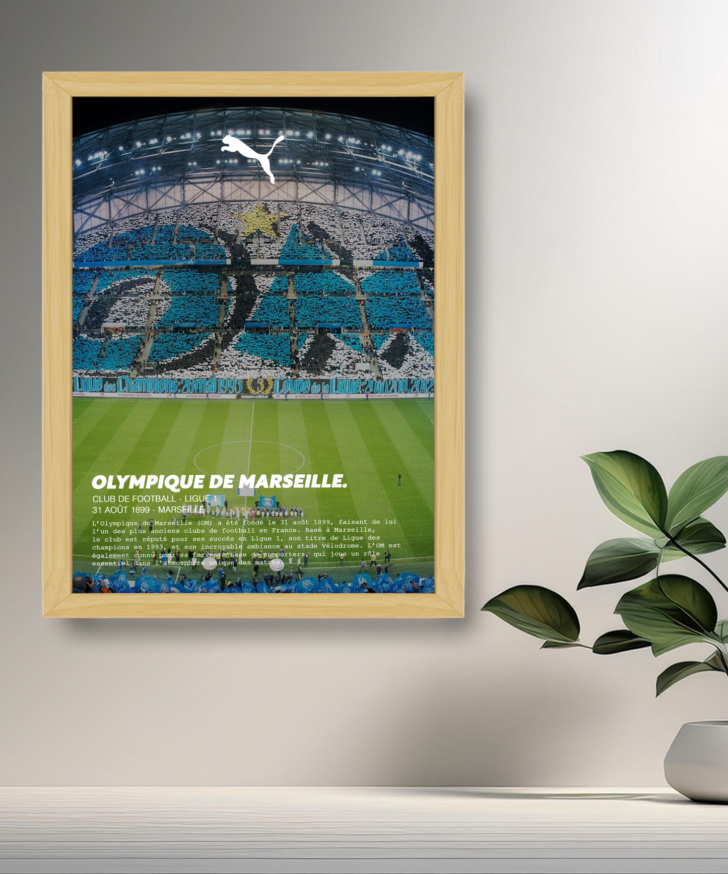 Cadre photo Olympique de Marseille Stade