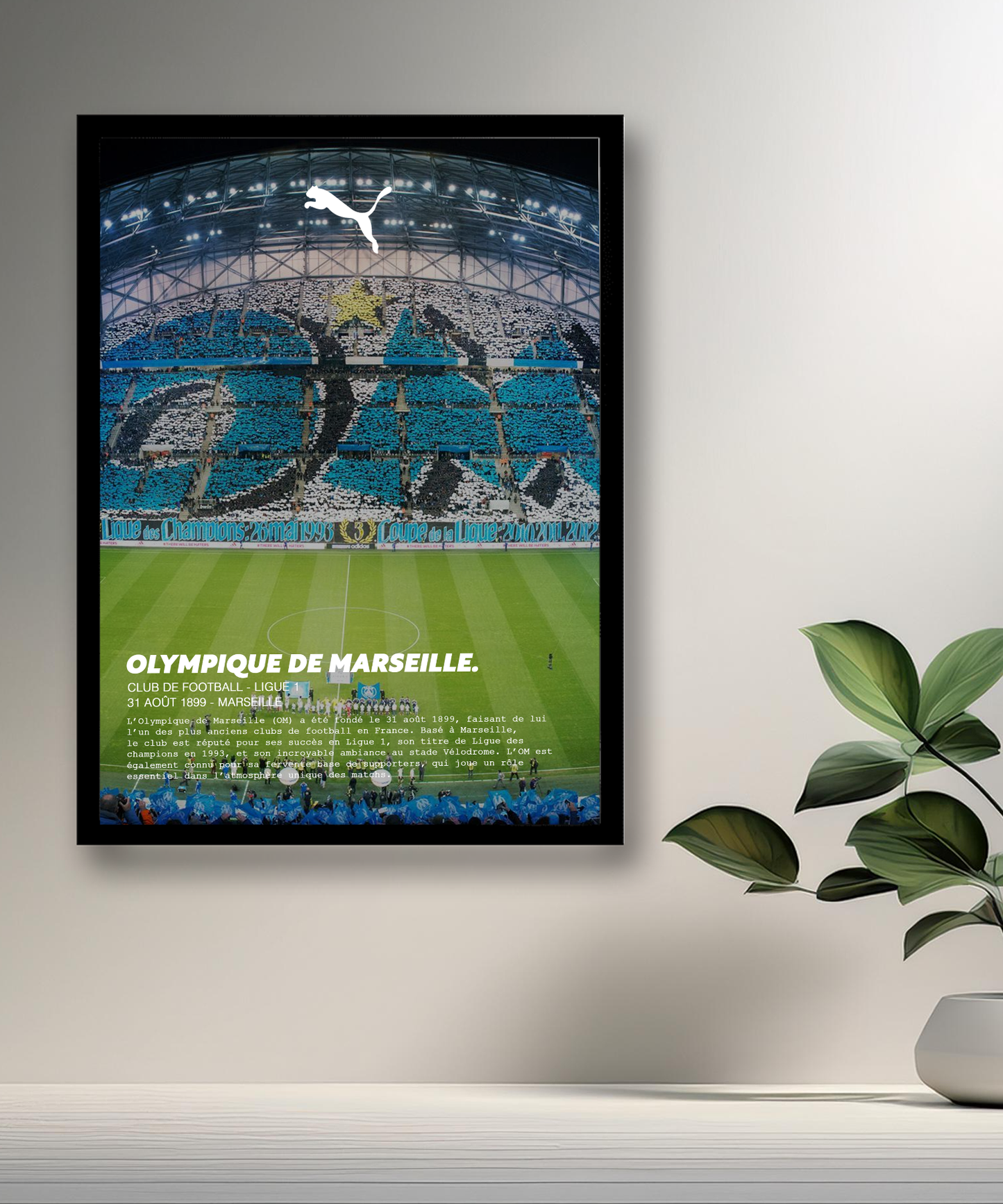 Cadre photo Olympique de Marseille Stade